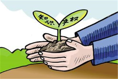 知識產權代理 福建專利申請實力的關鍵支撐